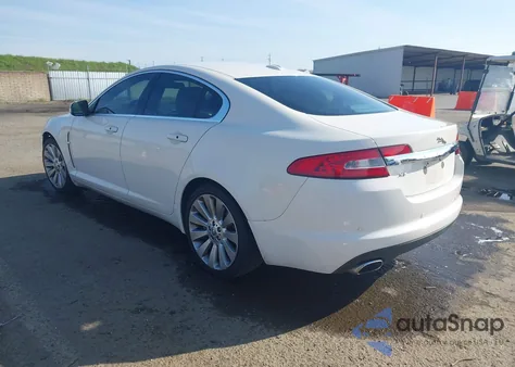 2009 Jaguar Xf Premium Luxury из США, поврежденный, VIN SAJWA06B89HR31538